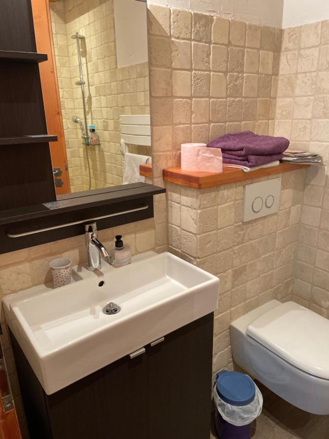 Studio 1 Piece Situe Dans Un Chalet Beaufort  Bagian luar foto